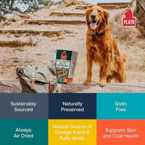 In-Depth Review of PLATO Baltic Herring Dog Treats Best for Healthy Skin and Coat In-Depth Review of PLATO Baltic Herring Dog Treats Best for Healthy Skin and Coat
