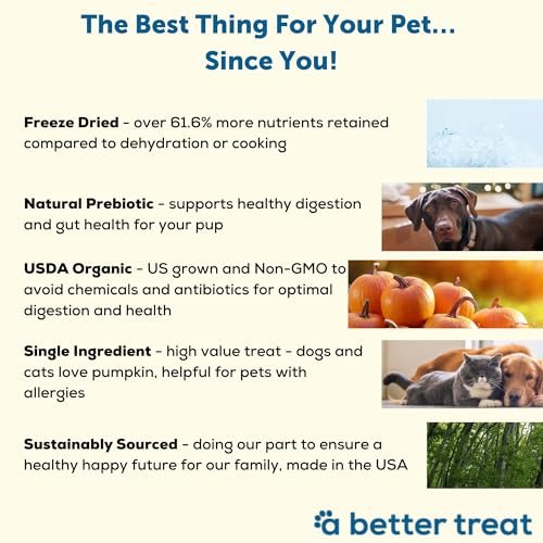 Review of A Better Treat Freeze Dried Organic Pumpkin Dog and Cat Treats Benefits Review of A Better Treat Freeze Dried Organic Pumpkin Dog and Cat Treats Benefits