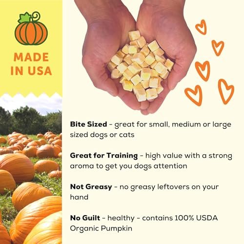 Review of A Better Treat Freeze Dried Organic Pumpkin Dog and Cat Treats Benefits Review of A Better Treat Freeze Dried Organic Pumpkin Dog and Cat Treats Benefits