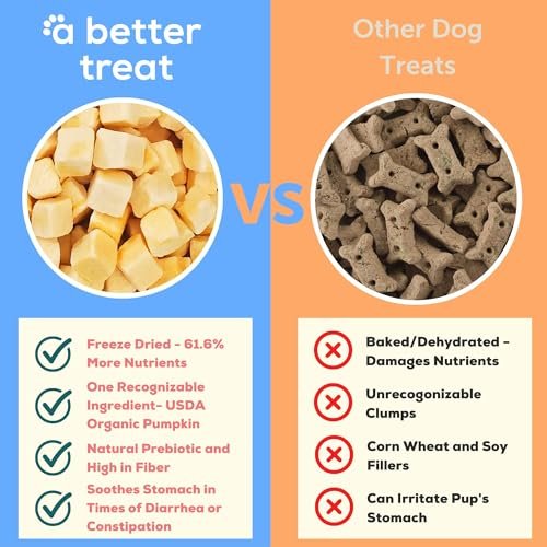 Review of A Better Treat Freeze Dried Organic Pumpkin Dog and Cat Treats Benefits Review of A Better Treat Freeze Dried Organic Pumpkin Dog and Cat Treats Benefits